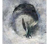 Suma - Ashes