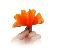SUMAG Lot de 9 fleurs en papier pour tours de magie du bout des doigts - Vides - Accessoire pour illusion de scène