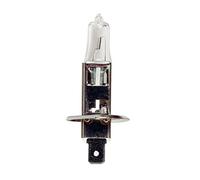 Sumex - 1 Ampoule 12V H1 55W P145S