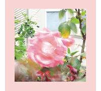 Summer at Land's End