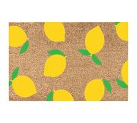 Summer Door Mat - Floral Print Decorative Entry Rug, Non Slip Rubber Backing Floor Cover, Weather Resistant Welcome Doormat with Bright Pattern Design for Indoor Outdoor Home Entrance Porch