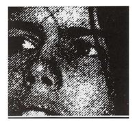 Crocodiles – Summer of Hate – Import – Essential