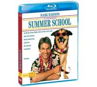 SUMMER SCHOOL