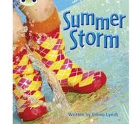 Summer Storm: Non-Fiction Set 11 (Phonics Bug) - [Version Originale] Inconnu (Auteur)