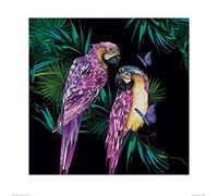Summer Thornton (Parrots 60 x 60 cm Toile Imprimée, Décoration Murale, Affiche Murale
