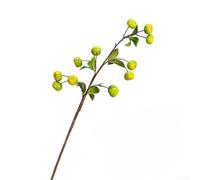 Sumsoctober Lot de 3 branches d'oranger artificielles avec fruits réalistes pour décoration de maison, bureau, mariage, 65 cm (vert)