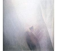Sun Airway - 7-Wild Palms [Import]