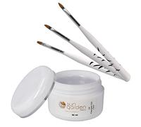 Sun Garden Nails Gel UV Fibre de Verre Clair 30 ml avec Set de 3 Pinceaux de Finition - Gel Monophasé Transparent pour Ongles