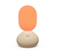 Sun Home Sculpture lumineuse / Lampe de table grise - F