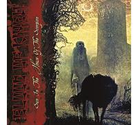 Sun in the House of the Scorpion