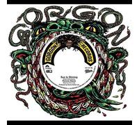 Sun Is Shining Vinyle