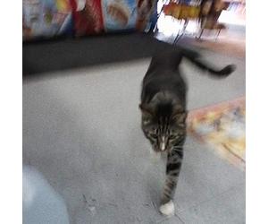 Sun Kil Moon - I Also Want to Die in..