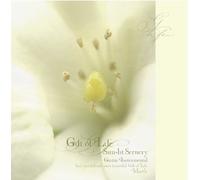 Sun-Lit Scenery Gift of Life-I [Import allemand]