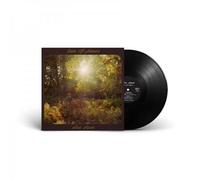 Sun of Amen – Vinyle – Universal Music Group