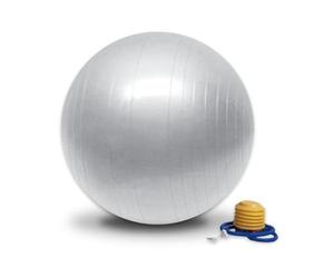 Sun&Sia YB55-AR Ballon de Fitness Mixte Adulte, Argenté