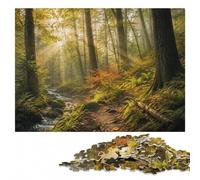 Sunbeams in The Forest Puzzle pour Adultes | Un loisir d'intérieur concentré: une progression régulière sur plusieurs sessions.