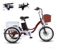 SUNBGRPYE Tricycle éLectrique Adulte 350W, VéLo à Trois Roues De 20 Pouces, Autonomie De 35 à 40 Km/H - 48V 12Ah, Charge De 150 Kg | éCran LCD | Vitesse Maximale De 20 Km/H, pour Les Courses,A
