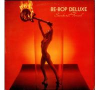 Sunburst Finish - EX