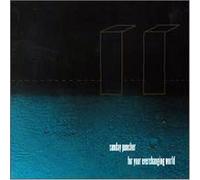 Sunday Puncher - for Your Everchanging World