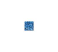 Conscience Pilate – Sunday Refugees – CD – Import