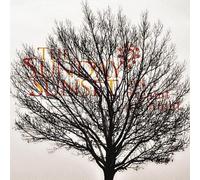 Sunday Sunset - But I Dreamt All Night