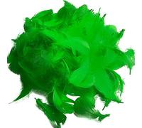 Suneast Lot de 300 Plumes d'oie pour Loisirs Créatifs, Attrape-Rêves, Boucles d'oreilles, Mariage, Festival, Décoration de Fête Prénatale - Vert, 5-8cm