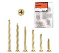 Suneke Assortiment de 60 vis pour cloison sèche #8 haute dureté, zinc, filetage grossier, entraînement cruciforme, tête bombée, vis à bois avec boîte de rangement et 1 embout long Phillips PH2#2