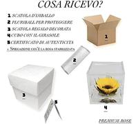 Sunflower Cube Real Eternal Scented 6 cm with Water Effect BaseStabilised SunflowerGift Idea for Mom,Girlfriend,Friend,BirthdayHandmade in Italy