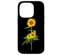 Sunflower Flower Garden Yellow Girasol Flor Gift Coque pour iPhone 14 Pro