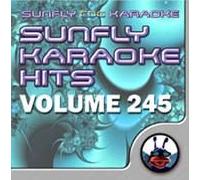 Sunfly Karaoke Hits Volume 245 (CD+G)
