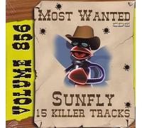 Sunfly Karaoke Most Wanted Volume 856 (CD+G)