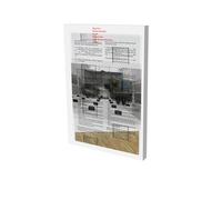 Sung Tieu : One Thousand Times - Harriet Zilch - Snoeck - broché - Catalogue d'exposition