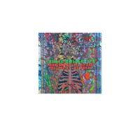 Sung Tongs Live At The Theatre At Ace Hotel Vinyle Vert Et Orange