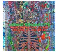 Sung Tongs Live At The Theatre At Ace Hotel Vinyle Vert Et Orange