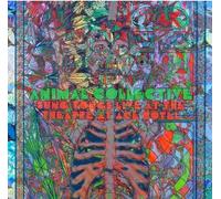 Animal Collective – Sung Tongs Live at the Theatre at Ace Hotel – Vinyle Vert et Orange