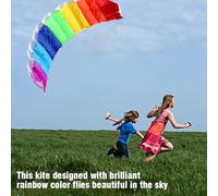 SUNGOOYUE Kite Volant, 1,4m2m22.7m Colored Dual Line Casch Power Sport Kite Outdoor Seaside Beach Toy & Wind Spinners (1,4 Mètres (1,4 mètres)