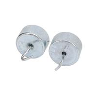 SUNGOOYUE Poids à Double Crochet de Haute Précision de 10 G pour les Travaux de Laboratoire de Physique Scientifique Générale