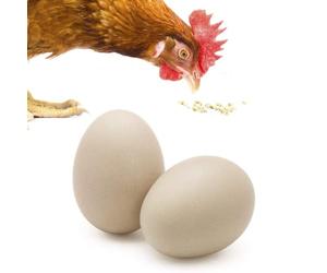 SunGrow Faux Œufs en Bois pour Entraîner Le Poulet Et Le Canard à Ne Pas Pondre dans Les Nichoirs Et à Arrêter De Manger Ses Propres œUfs, 2 Pièces par Paquet