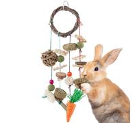 SunGrow Jouet à mâcher en cage à suspendre pour lapin, cochon d'Inde et chinchillas, disques en bois, tranches de luffa, balle d'herbe et foin compressé, pour lapins, cochons d'Inde et chinchillas
