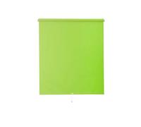 Sunl INES hwa10030 Spring Store Enrouleur lumière du Jour, Plastique, Vert Clair, 180 x 62 cm