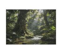 Sunlit Casse-tête en bois avec boîte de rangement, puzzle en bois respectueux de l'environnement pour les loisirs à la maison, le soulagement du stress et la décoration, 300 pièces