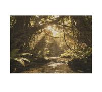 Sunlit - Puzzle en bois avec boîte de rangement - Puzzle en bois écologique pour loisirs à la maison, soulagement du stress et décoration - 300 pièces