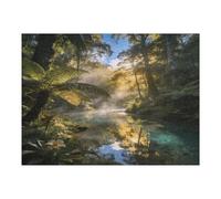 Sunlit - Puzzle en bois avec boîte de rangement, respectueux de l'environnement pour la maison, les loisirs, le soulagement du stress et la décoration, 500 pièces