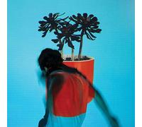 Sunlit Youth LP ULTRA LIMITE