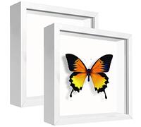 sunmeg 2Pcs Cadre 3D Profond 14 x 14 cm Cadre Photo Vitrine 3D Cadre Boîte en Bois Cadre d'Objet Carrée Pour Médailles, Billets, Fleurs, Souvenirs, Diamond Painting