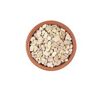 Sunnah Shop® Encens naturel Oliban - Résine d'encens aromatique de qualité supérieure - Bakhoor traditionnel utilisé pour la méditation et à des fins spirituelles - 100 g