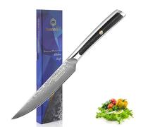 Sunnecko Couteau à Steak Japonais Professionnel 13cm, Couteau de Table en Acier Damas 73 Couches Poignée G10, Couteau de Cuisine Multifonction à Viande