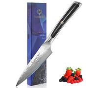 Sunnecko Couteau Office en Acier Damas 73 Couches, Couteau Cuisine d'office Professionnel 9cm à Éplucher Fruit Légume, Poignée G10