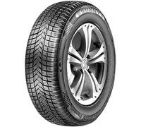 Sunny Pneu 4 saisons NC501 205/60 R16 96V XL 3PMSF C C 67 A