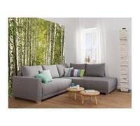 Sunny decor poster birkenwald 8 parties 368 x 254 cm G